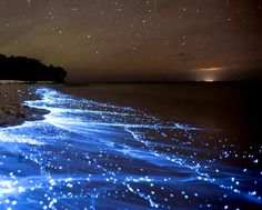 SEA OF STARS - Vadhoo Island Maldives | Tripelonia