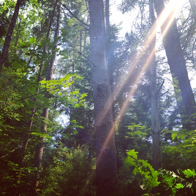 Ten mile hike✔️ now time for a nap. #nature #hiking #newhampshire #summer #bbloggers #bblogger #bblog #adventure #beauty #woods #fitness #follow #picoftheday #instagood #instadaily #love