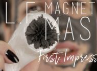 ELF Magnetic Mask Review + First Impression